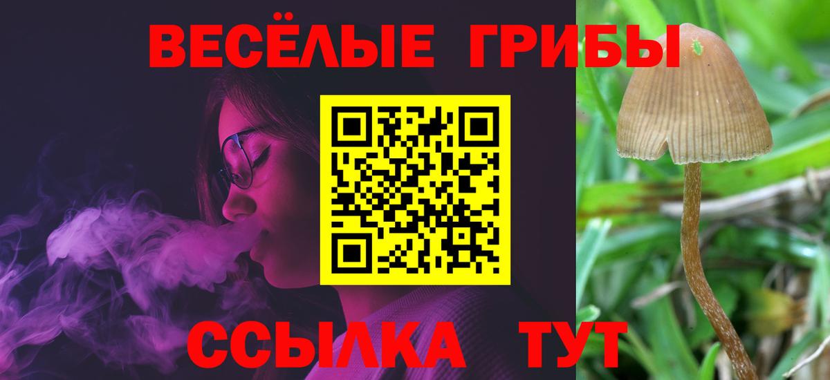 Узловая  Галлюциногенные грибы Psilocybine cubensis  Вход с VPN 
